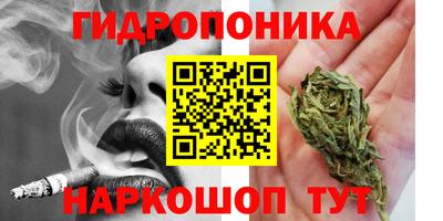 индика Краснодар