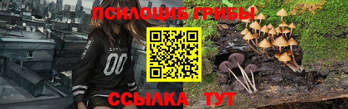 Галлюциногенные грибы Cubensis  Вход с VPN  купить наркотик  Ярцево 